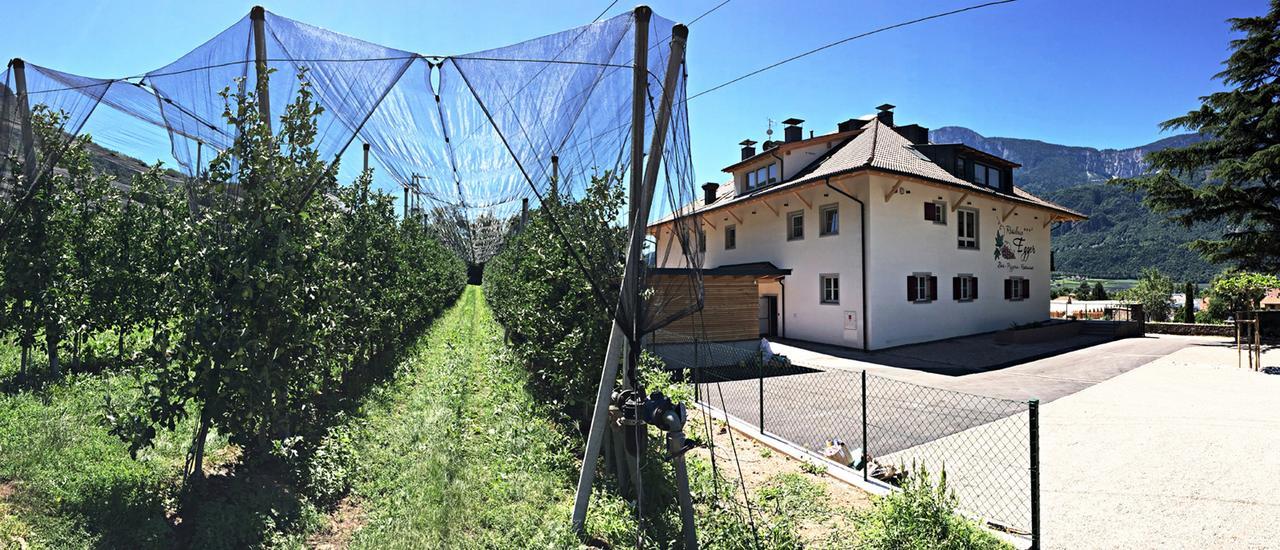 Residence Egger Terlano Extérieur photo